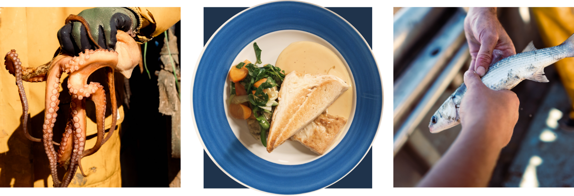 restaurant poisson martigues - restaurant port de carro - soirée martigues